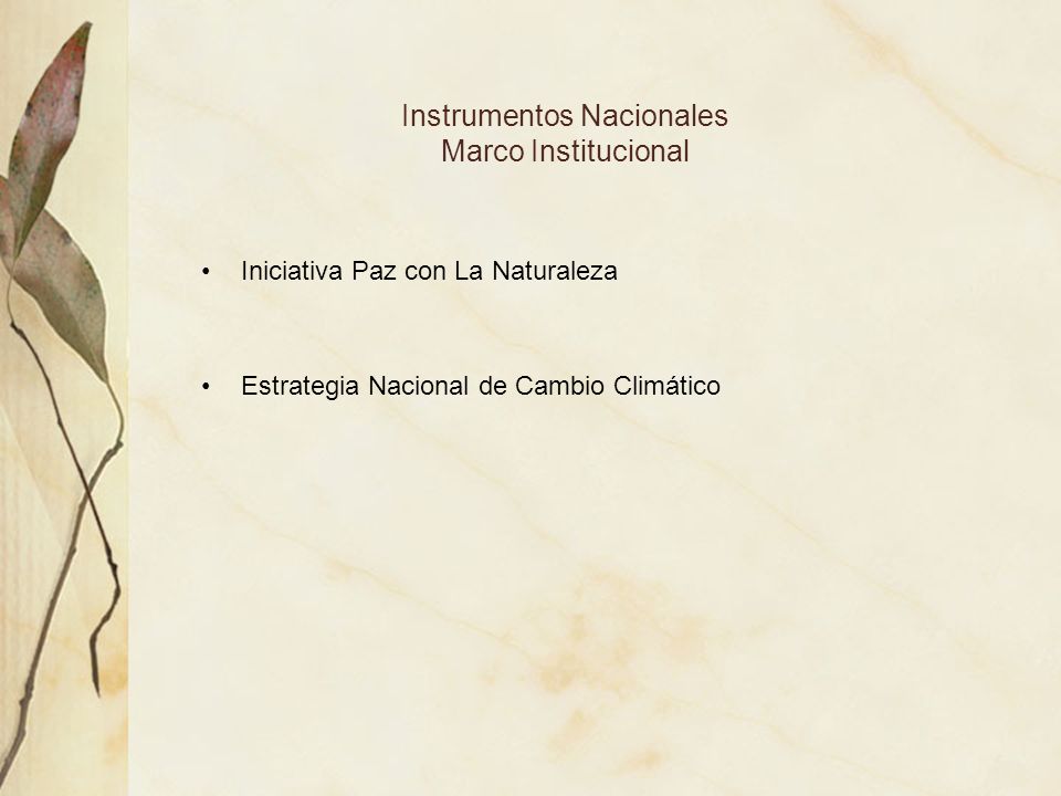Instrumentos Nacionales Marco Institucional