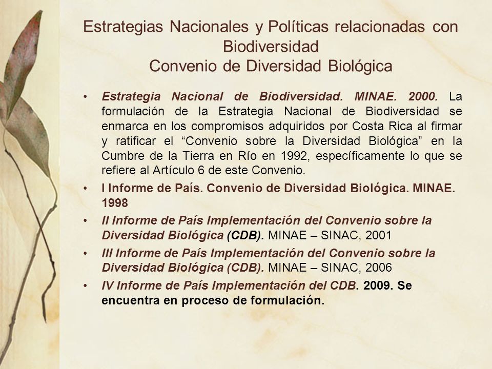 Estrategias Nacionales y Políticas relacionadas con Biodiversidad Convenio de Diversidad Biológica