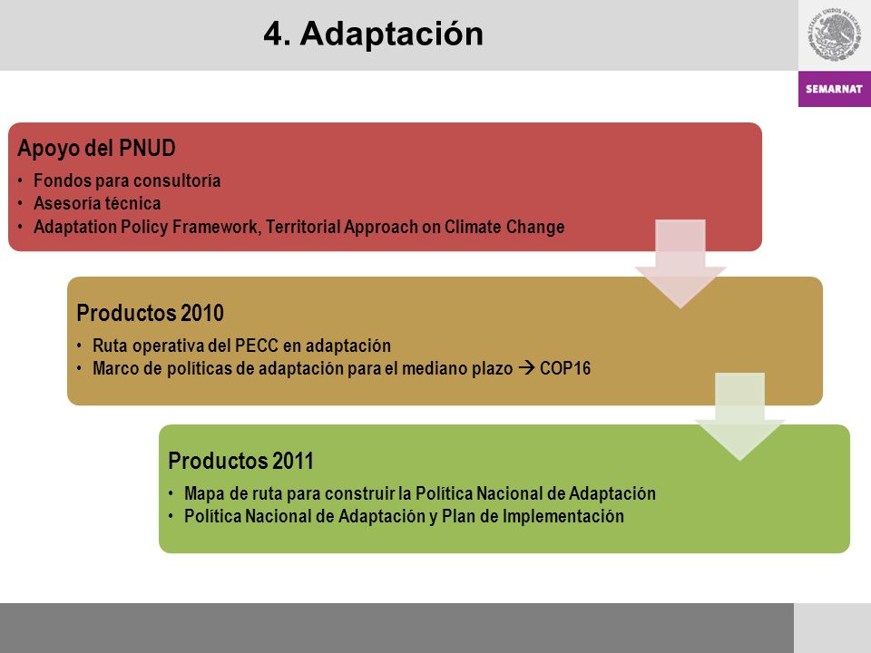 4. Adaptación Apoyo del PNUD Productos 2011 Productos 2010