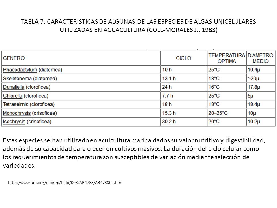 TABLA 7. CARACTERISTICAS DE ALGUNAS DE LAS ESPECIES DE ALGAS UNICELULARES UTILIZADAS EN ACUACULTURA (COLL-MORALES J., 1983)