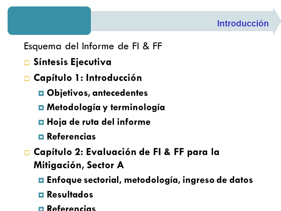 Esquema del Informe de FI & FF Síntesis Ejecutiva