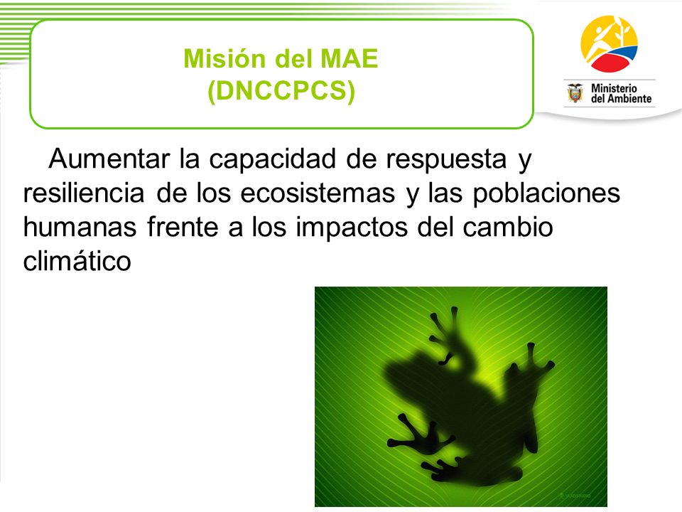 Misión del MAE (DNCCPCS)