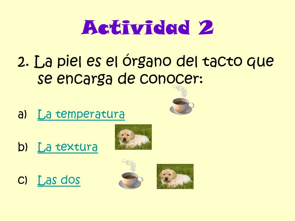 Actividad 2 2. La piel es el órgano del tacto que se encarga de conocer: La temperatura. La textura.