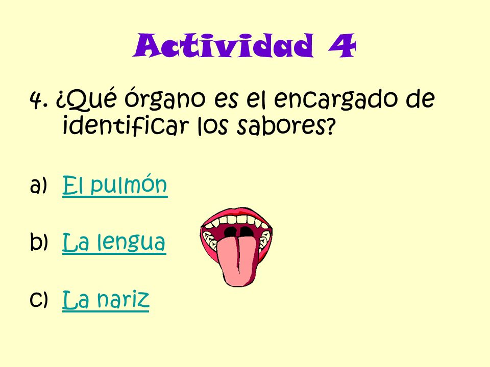 Actividad 4 4. ¿Qué órgano es el encargado de identificar los sabores
