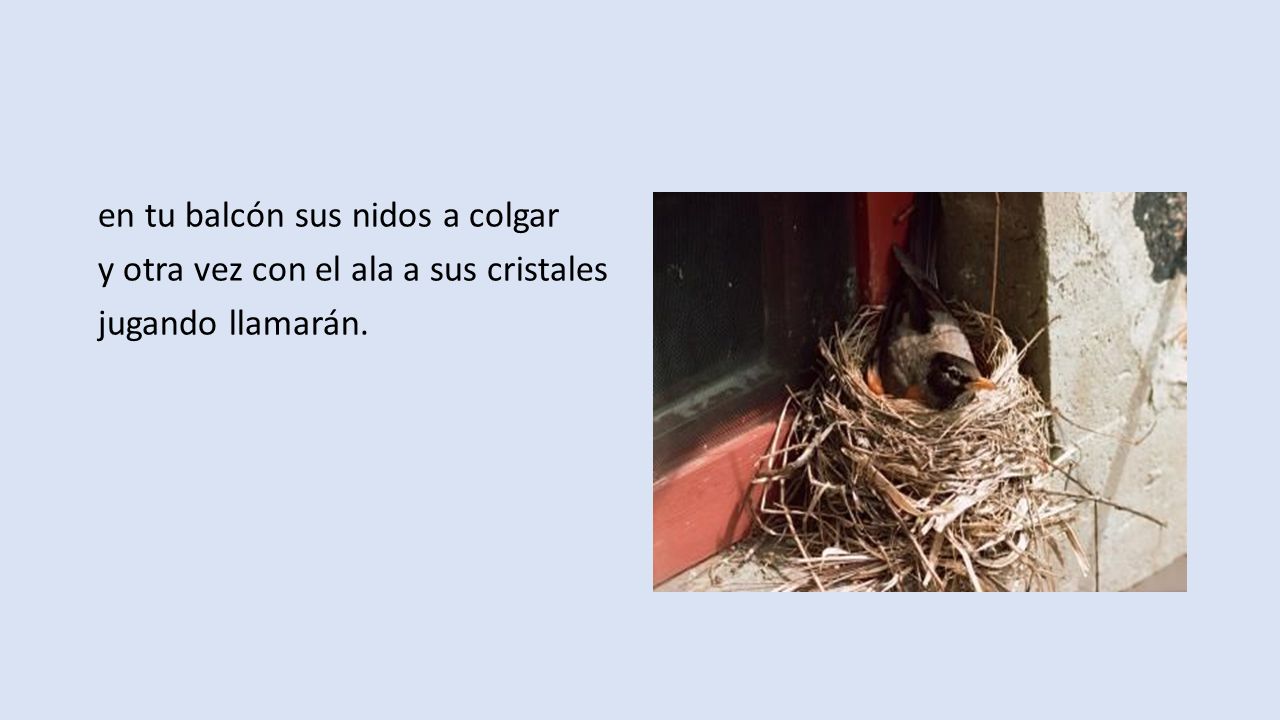 en tu balcón sus nidos a colgar y otra vez con el ala a sus cristales jugando llamarán.