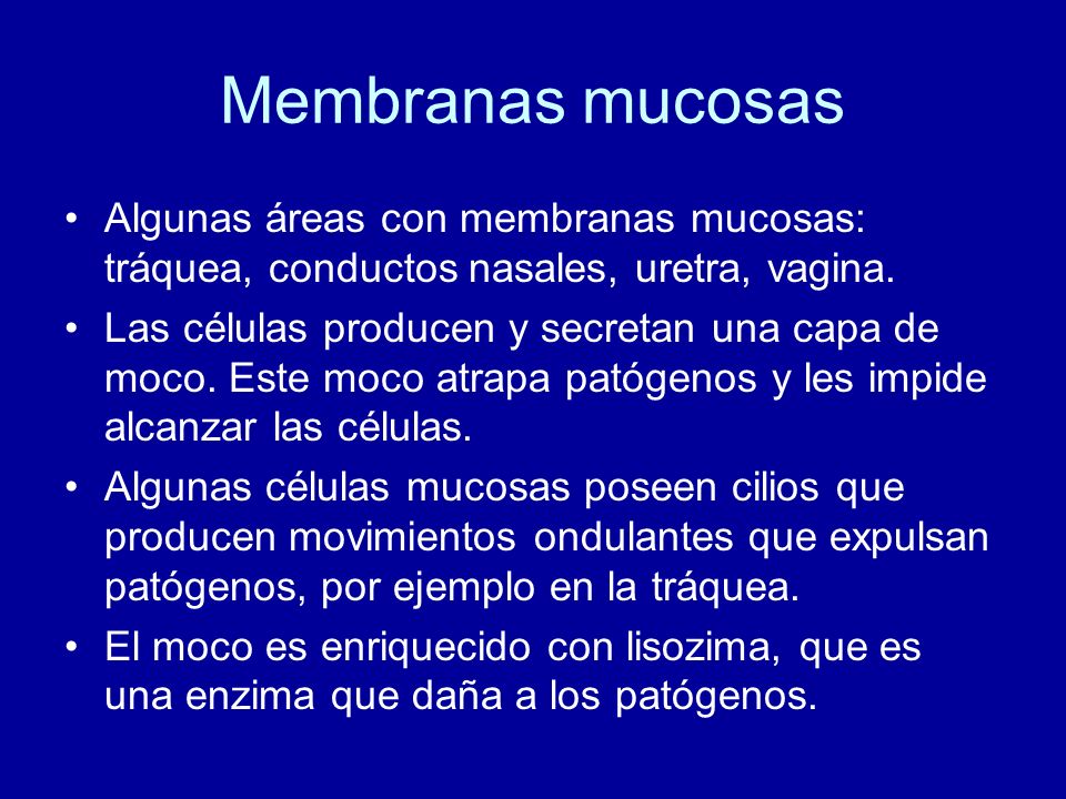 Membranas mucosas Algunas áreas con membranas mucosas: tráquea, conductos nasales, uretra, vagina.