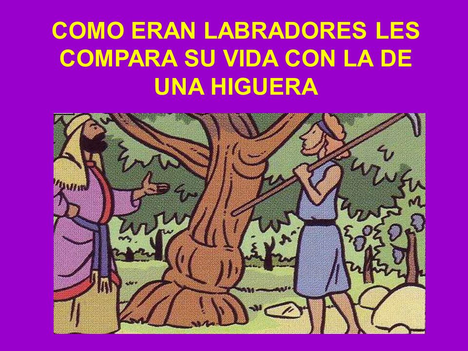 COMO ERAN LABRADORES LES COMPARA SU VIDA CON LA DE UNA HIGUERA