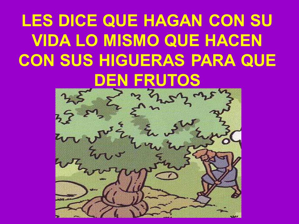 LES DICE QUE HAGAN CON SU VIDA LO MISMO QUE HACEN CON SUS HIGUERAS PARA QUE DEN FRUTOS