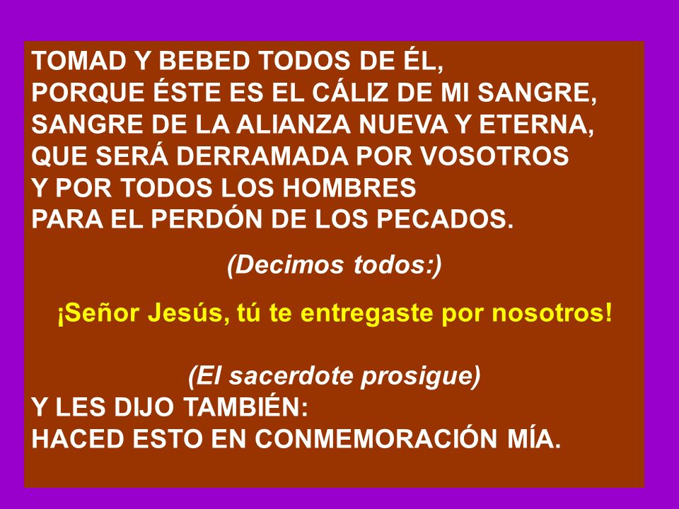 ¡Señor Jesús, tú te entregaste por nosotros! (El sacerdote prosigue)