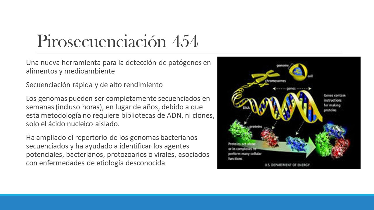 Pirosecuenciación 454 Una nueva herramienta para la detección de patógenos en alimentos y medioambiente.
