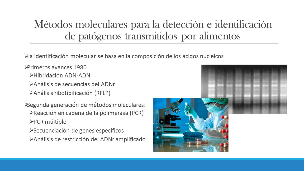 Métodos moleculares para la detección e identificación de patógenos transmitidos por alimentos