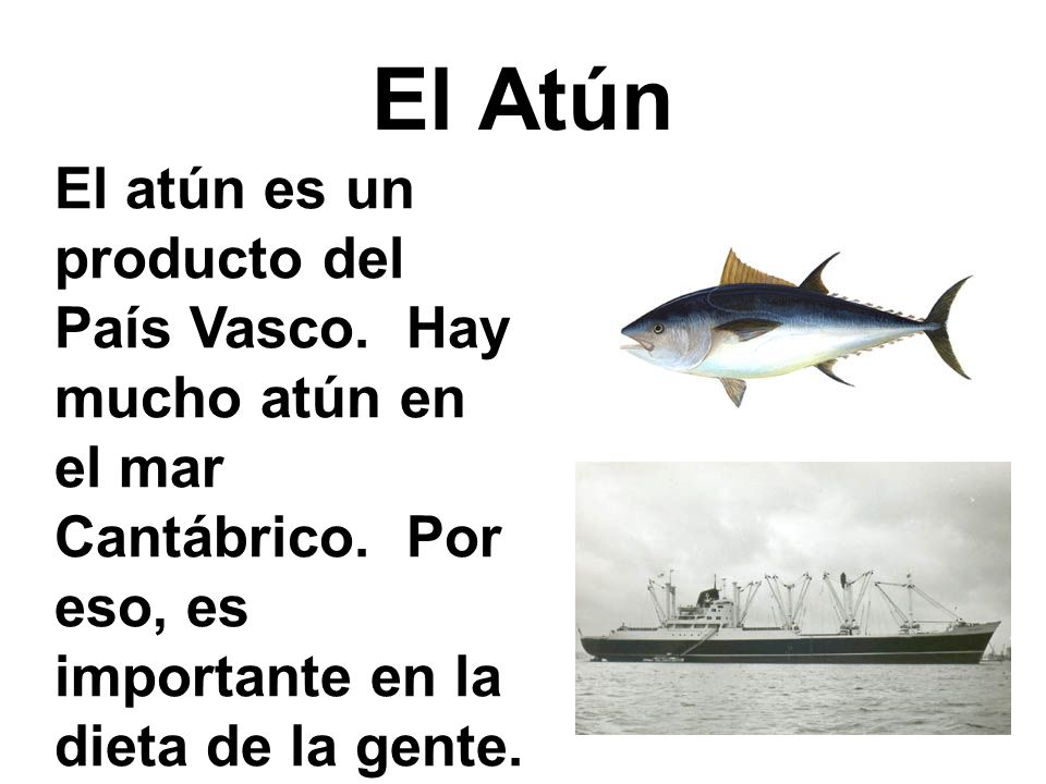 El Atún El atún es un producto del País Vasco. Hay mucho atún en el mar Cantábrico.