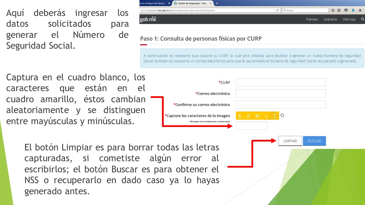 Aquí deberás ingresar los datos solicitados para generar el Número de Seguridad Social.