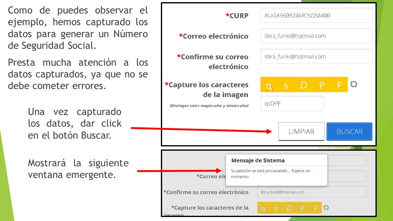 Como de puedes observar el ejemplo, hemos capturado los datos para generar un Número de Seguridad Social.