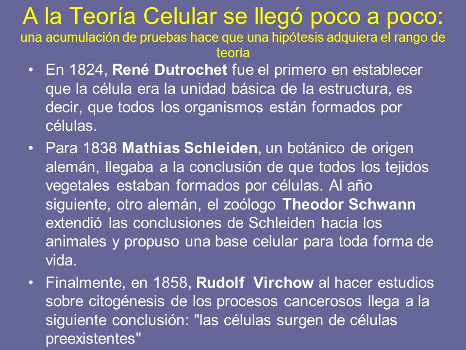 A la Teoría Celular se llegó poco a poco: una acumulación de pruebas hace que una hipótesis adquiera el rango de teoría