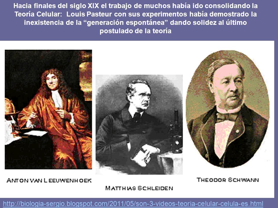 Hacia finales del siglo XIX el trabajo de muchos había ido consolidando la Teoría Celular: Louis Pasteur con sus experimentos había demostrado la inexistencia de la generación espontánea dando solidez al último postulado de la teoría