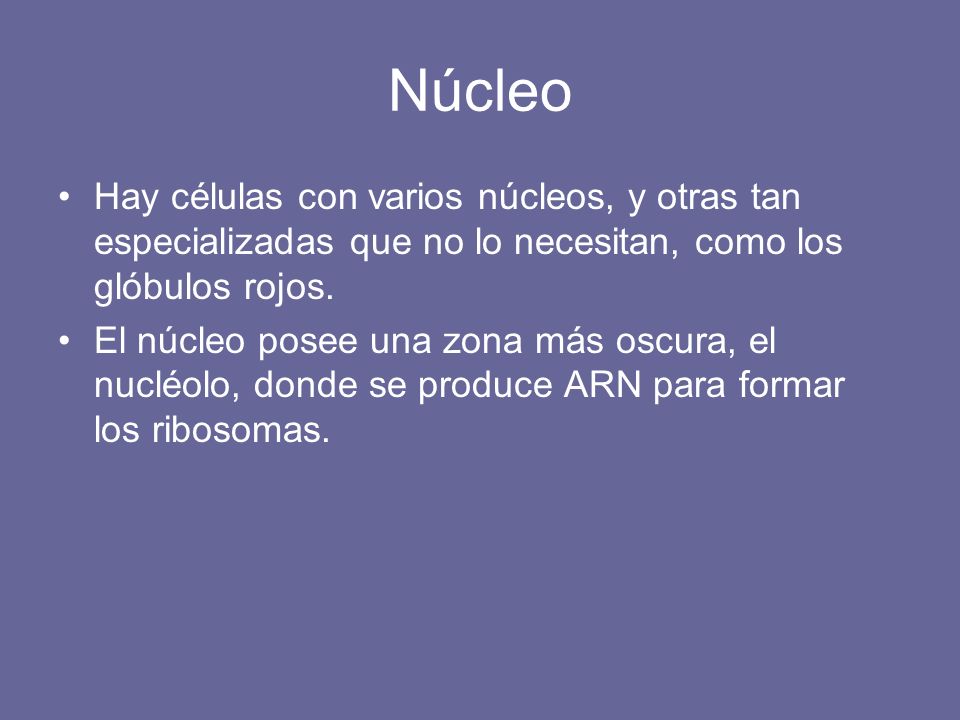 Núcleo Hay células con varios núcleos, y otras tan especializadas que no lo necesitan, como los glóbulos rojos.