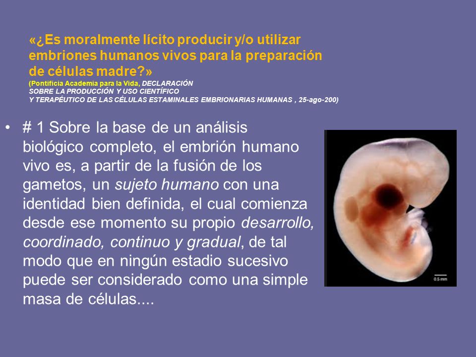 «¿Es moralmente lícito producir y/o utilizar embriones humanos vivos para la preparación de células madre » (Pontificia Academia para la Vida, DECLARACIÓN SOBRE LA PRODUCCIÓN Y USO CIENTÍFICO Y TERAPÉUTICO DE LAS CÉLULAS ESTAMINALES EMBRIONARIAS HUMANAS , 25-ago-200)