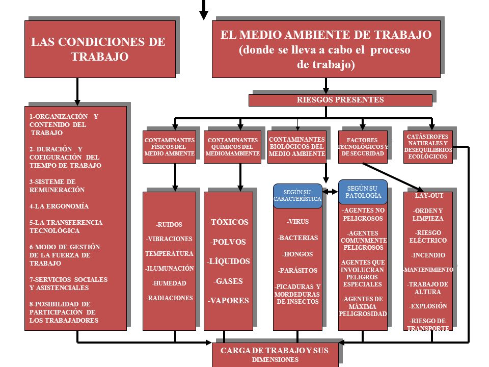 EL MEDIO AMBIENTE DE TRABAJO (donde se lleva a cabo el proceso