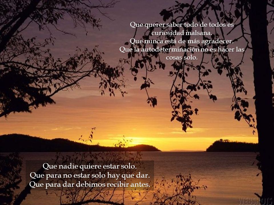 Que nadie quiere estar solo. Que para no estar solo hay que dar.