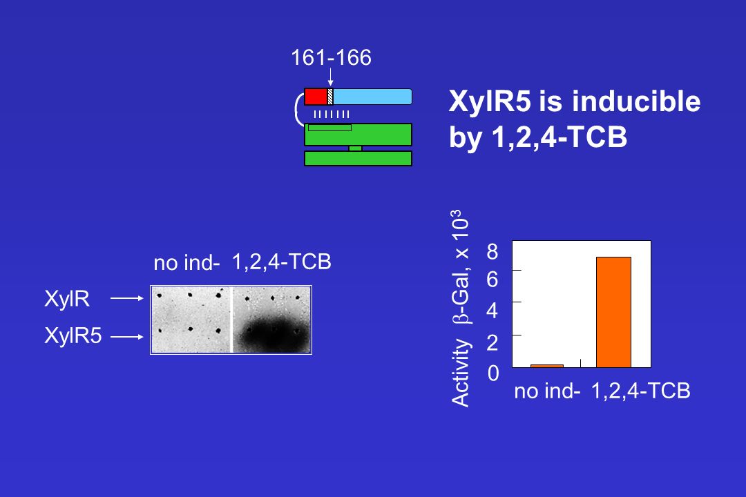XylR5 is inducible by 1,2,4-TCB no ind- 1,2,4-TCB 6 XylR