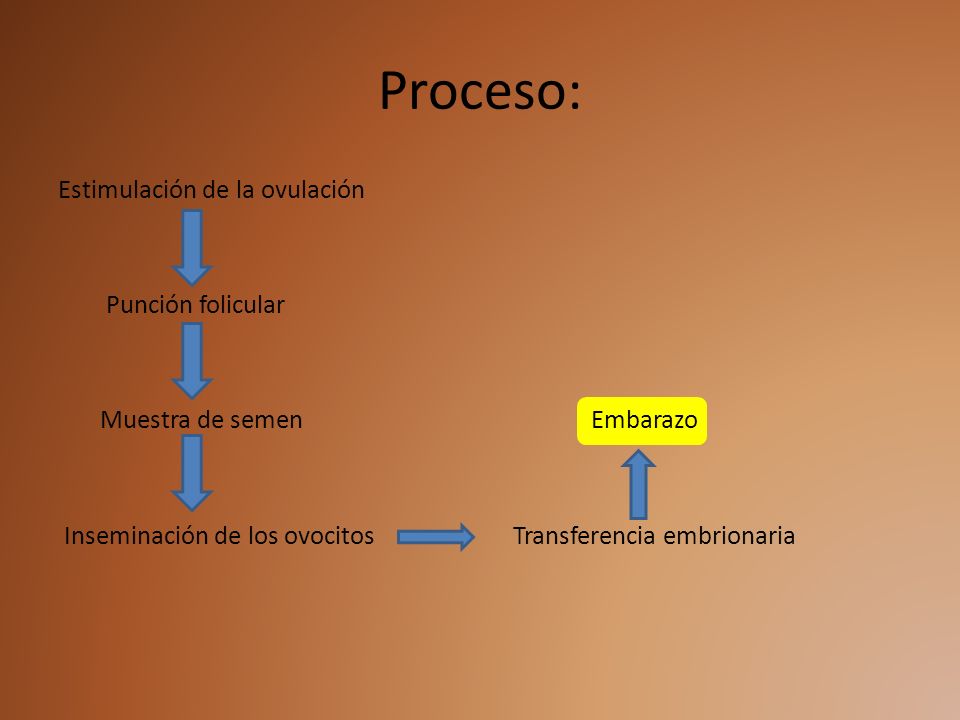 Proceso: Estimulación de la ovulación Punción folicular Muestra de semen Embarazo Inseminación de los ovocitos Transferencia embrionaria