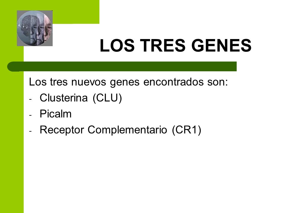 LOS TRES GENES Los tres nuevos genes encontrados son: Clusterina (CLU)