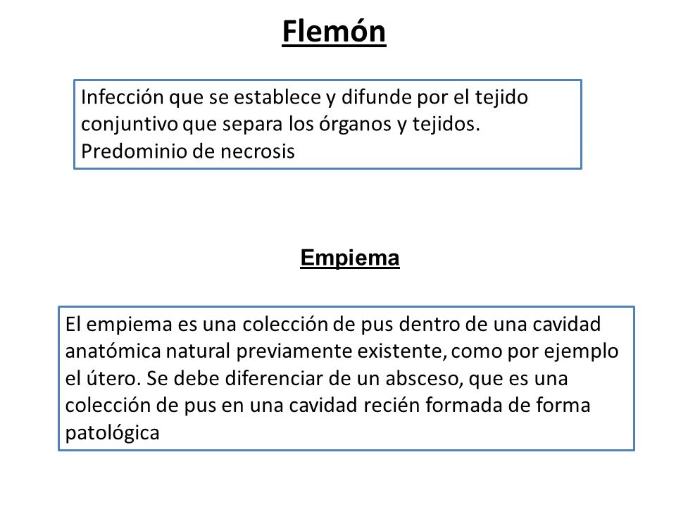 Cátedra de Anatomía Patológica. Facultad de Medicina. U. N. T.