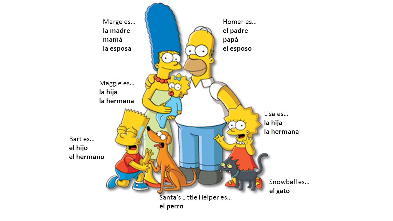 Marge es… la madre. mamá. la esposa. Homer es… el padre. papá. el esposo. Maggie es… la hija.