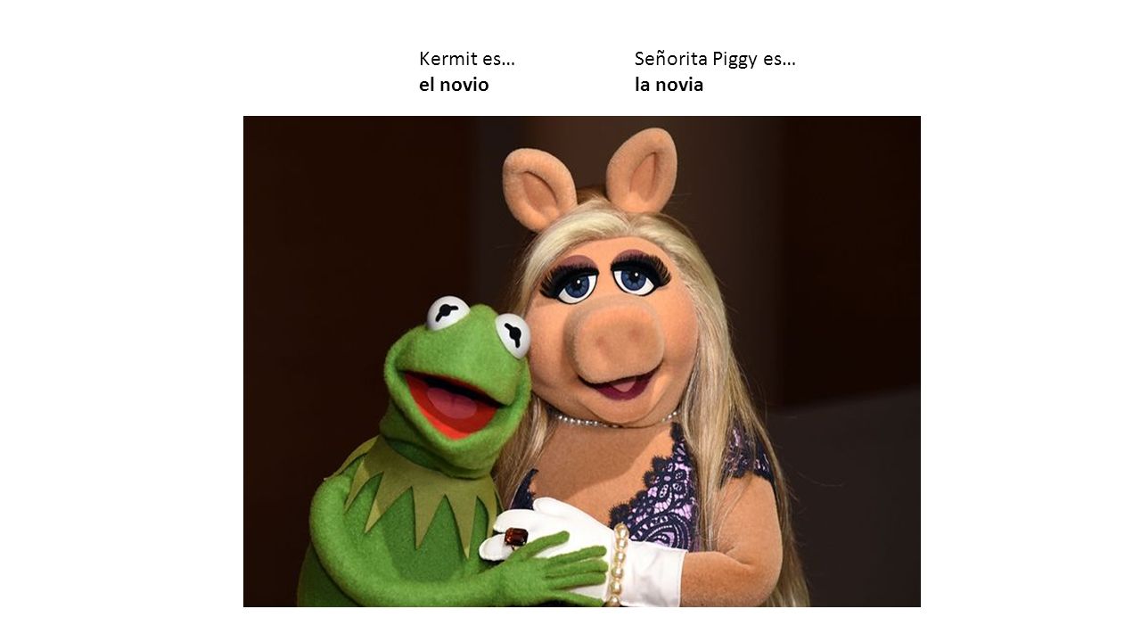 Kermit es… el novio Señorita Piggy es… la novia