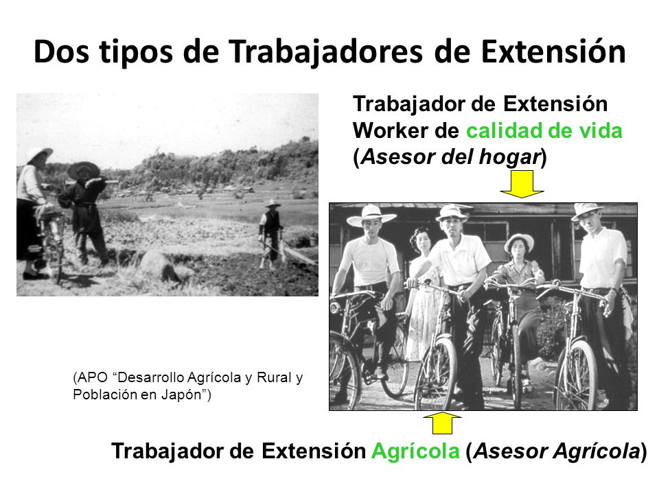 Dos tipos de Trabajadores de Extensión