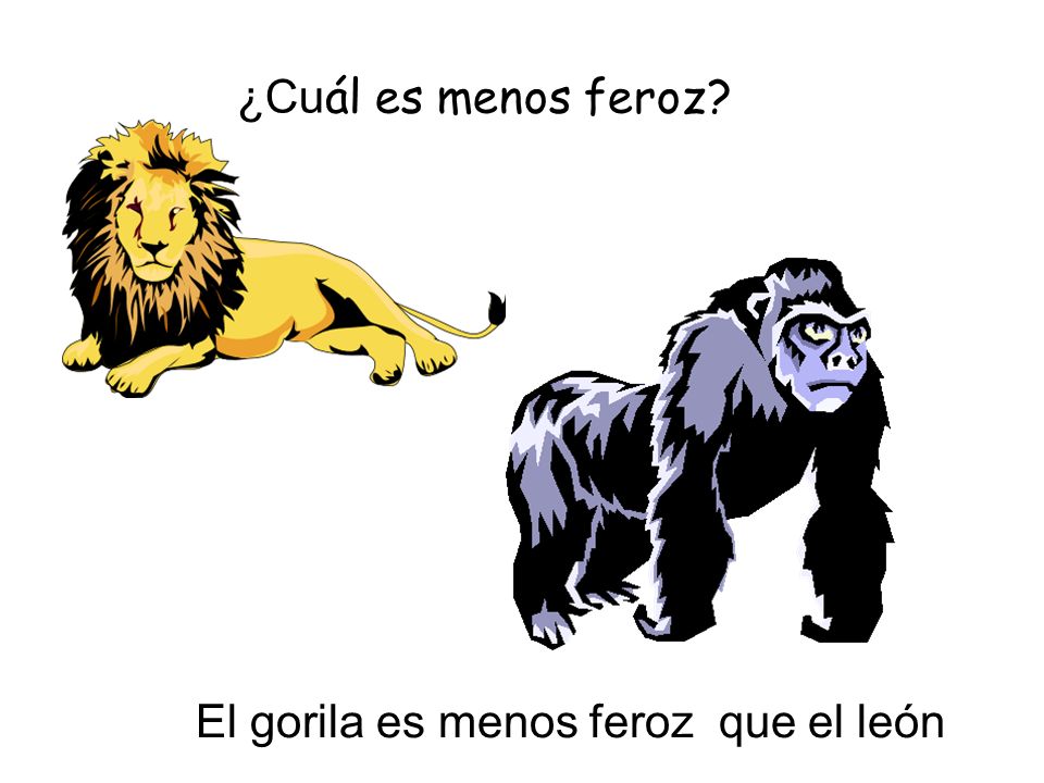 ¿Cuál es menos feroz El gorila es menos feroz que el león