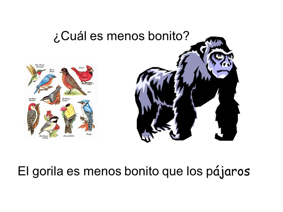 ¿Cuál es menos bonito El gorila es menos bonito que los pájaros