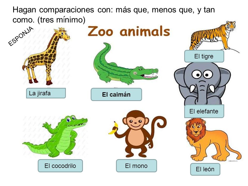 Hagan comparaciones con: más que, menos que, y tan como. (tres mínimo)