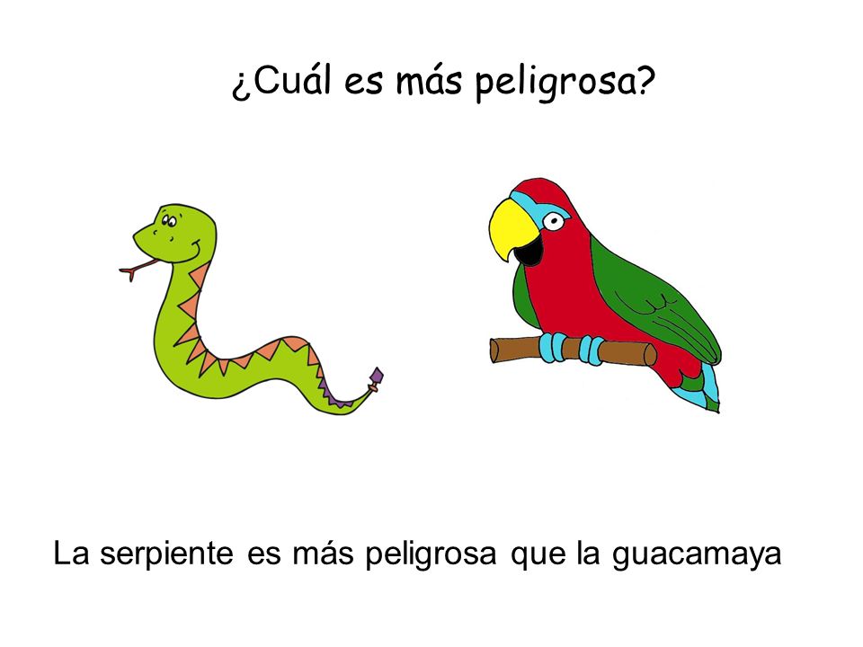 ¿Cuál es más peligrosa La serpiente es más peligrosa que la guacamaya
