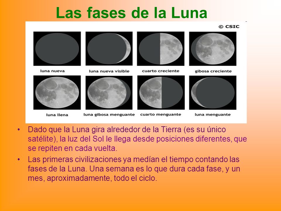 Las fases de la Luna