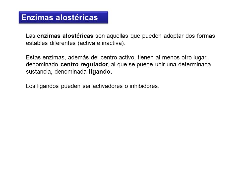 Enzimas alostéricas Las enzimas alostéricas son aquellas que pueden adoptar dos formas estables diferentes (activa e inactiva).