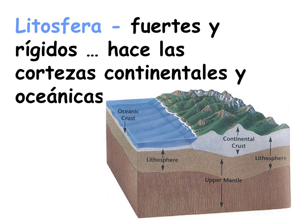 Litosfera - fuertes y rígidos … hace las cortezas continentales y oceánicas.