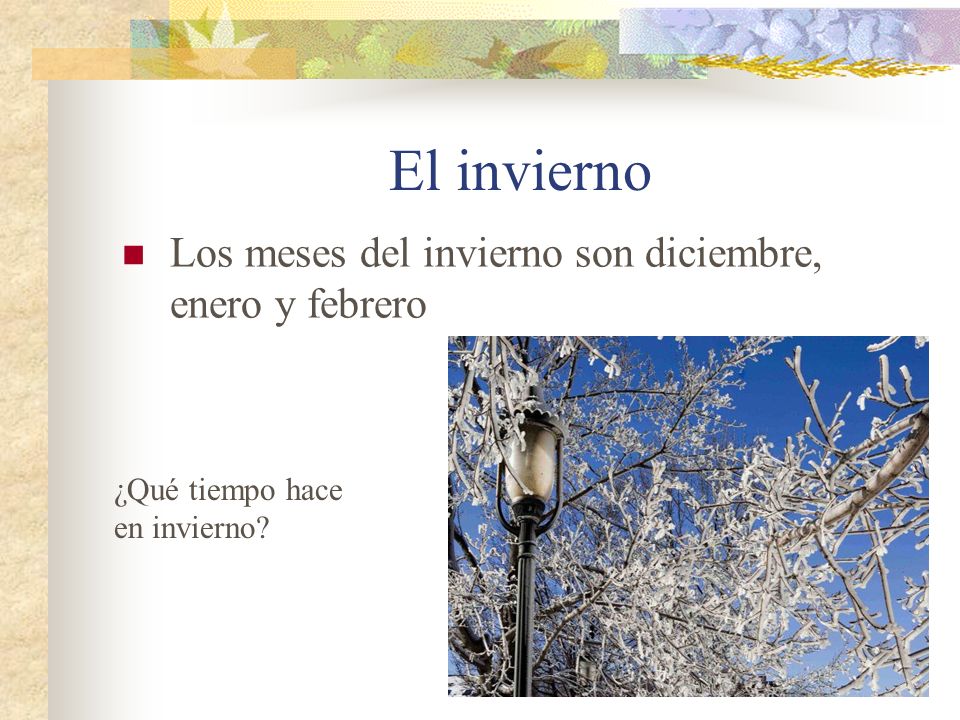 El invierno Los meses del invierno son diciembre, enero y febrero