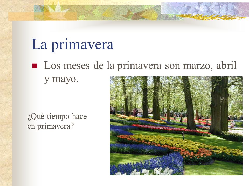 La primavera Los meses de la primavera son marzo, abril y mayo.