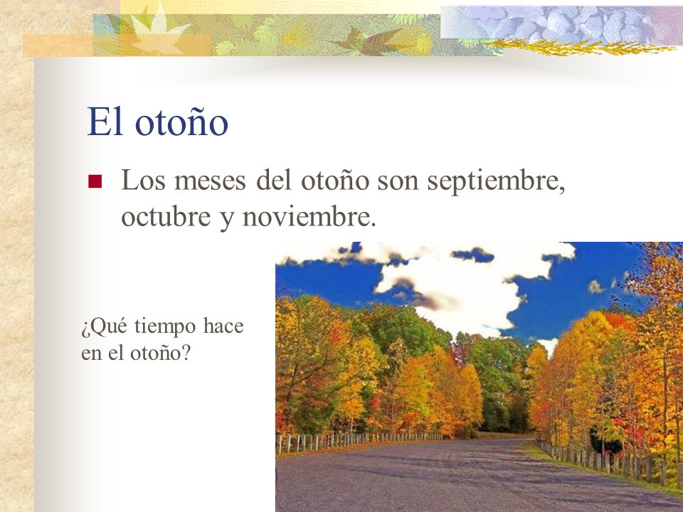 El otoño Los meses del otoño son septiembre, octubre y noviembre.