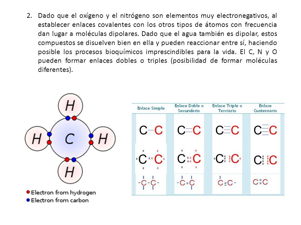 Dado que el oxígeno y el nitrógeno son elementos muy electronegativos, al establecer enlaces covalentes con los otros tipos de átomos con frecuencia dan lugar a moléculas dipolares.