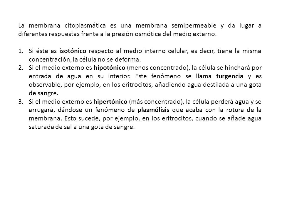 La membrana citoplasmática es una membrana semipermeable y da lugar a diferentes respuestas frente a la presión osmótica del medio externo.