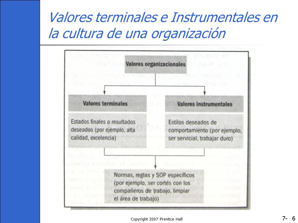 Valores terminales e Instrumentales en la cultura de una organización