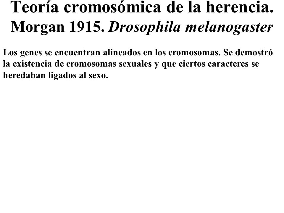Teoría cromosómica de la herencia. Morgan Drosophila melanogaster