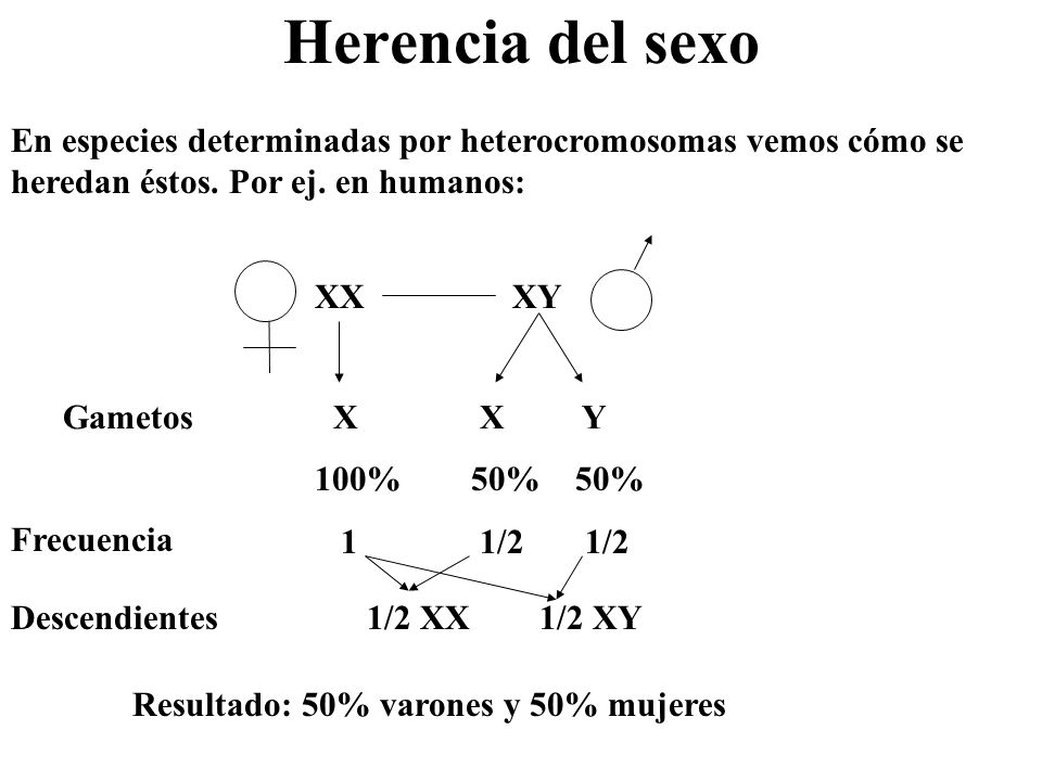 Herencia del sexo En especies determinadas por heterocromosomas vemos cómo se heredan éstos. Por ej. en humanos: