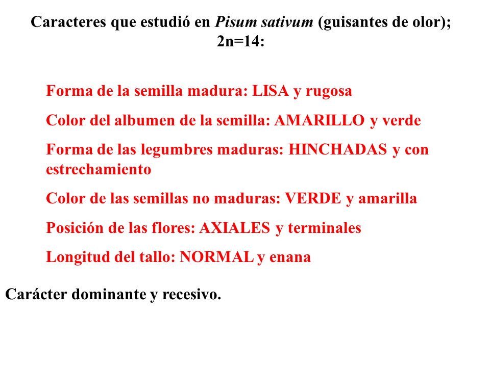 Caracteres que estudió en Pisum sativum (guisantes de olor); 2n=14: