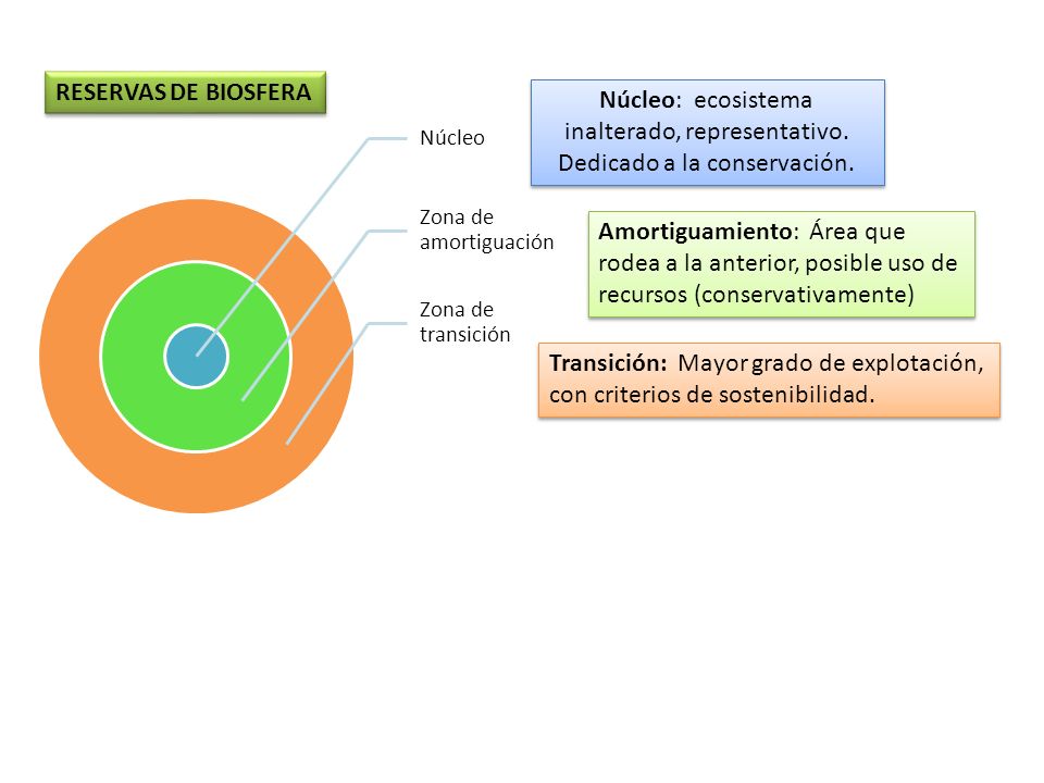Núcleo Zona de amortiguación. Zona de transición. RESERVAS DE BIOSFERA.