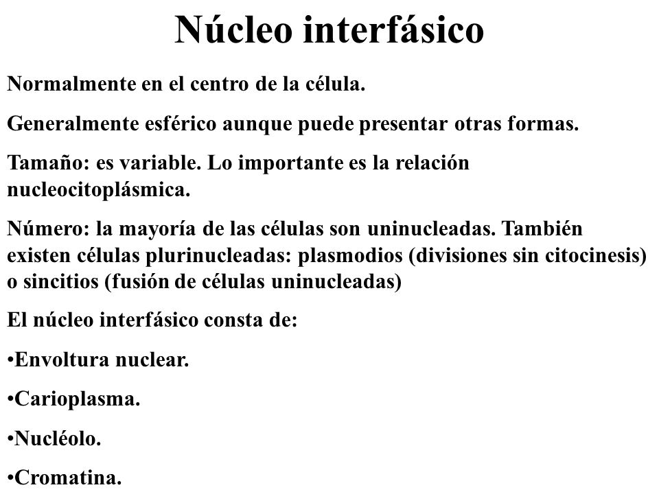 Núcleo interfásico Normalmente en el centro de la célula.