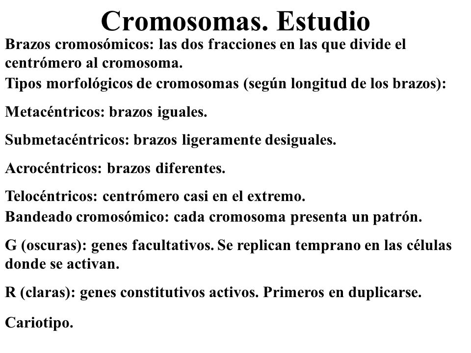 Cromosomas. Estudio Tipos morfológicos de cromosomas (según longitud de los brazos): Metacéntricos: brazos iguales.